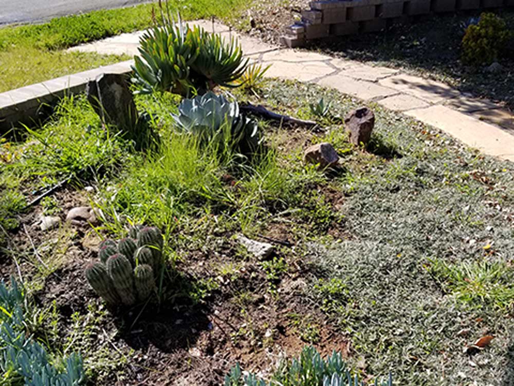 Mole & Vole Control in Dublin, CA and throughout the Bay Area Garden