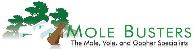 Mole Busters Logo
